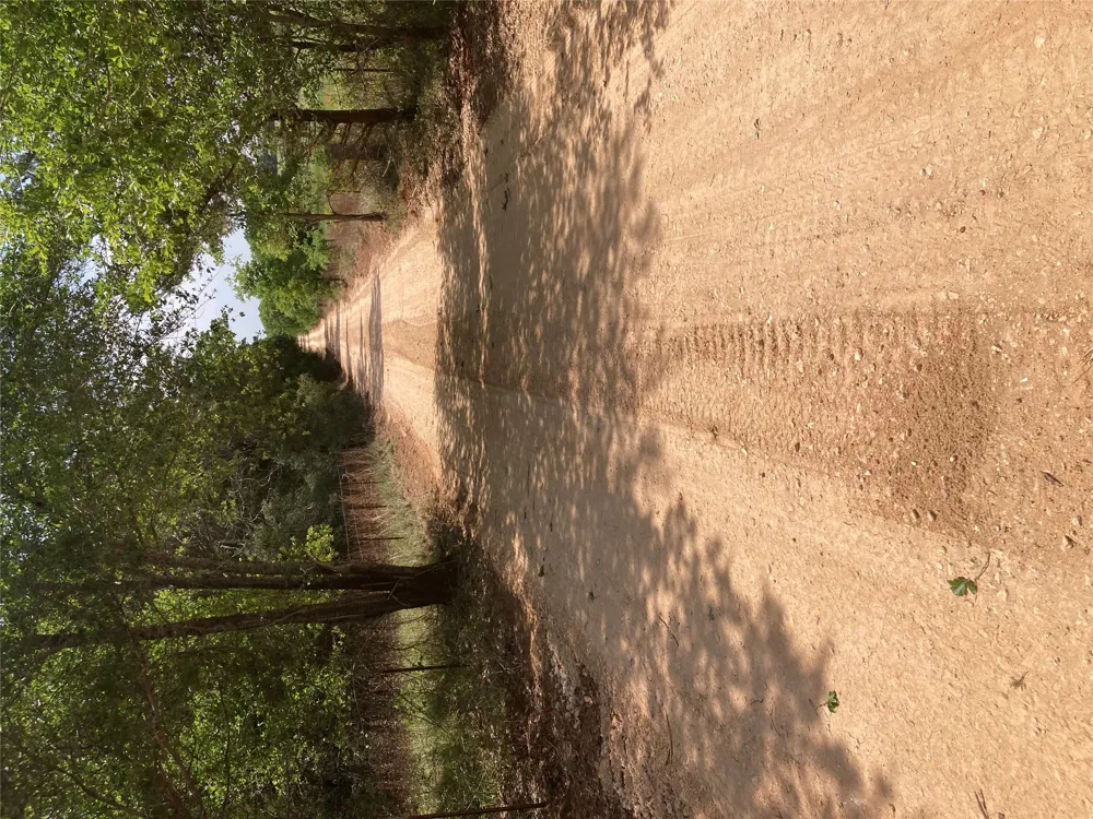1078 Old Pin Oak Road #Tracts 1 & 2 Paige, TX 78659