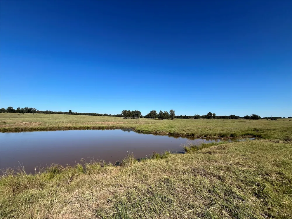 1078 Old Pin Oak Road #Tracts 1 & 2 Paige, TX 78659