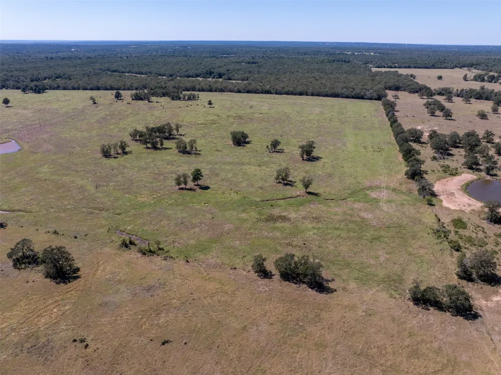 1078 Old Pin Oak Road #Tracts 1 & 2 Paige, TX 78659