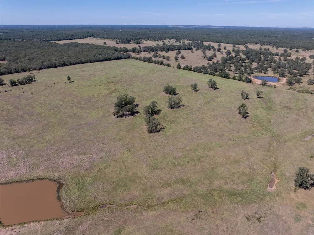 1078 Old Pin Oak Road #Tracts 1 & 2 Paige, TX 78659