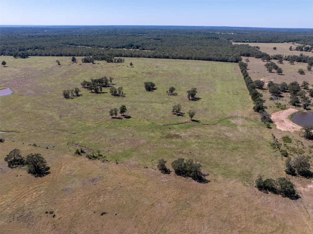 1078 Old Pin Oak Road #Tracts 1 & 2 Paige, TX 78659