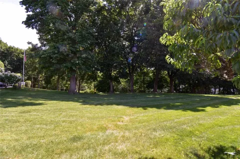 Stewart Avenue