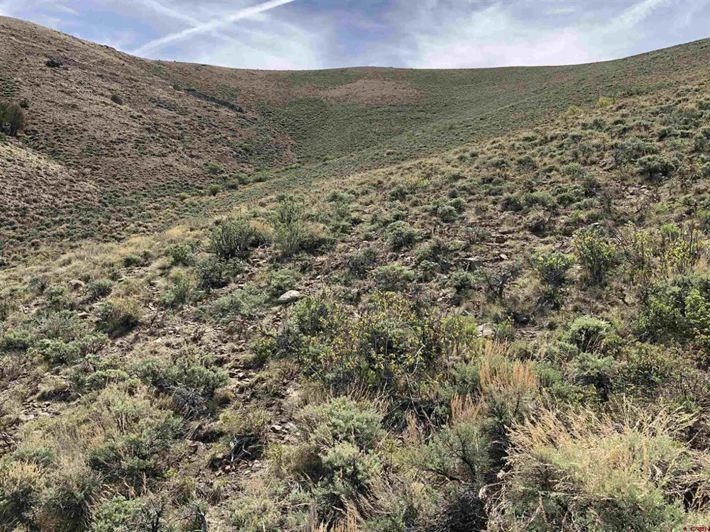 405 Sequoia Drive Gunnison, CO 81230