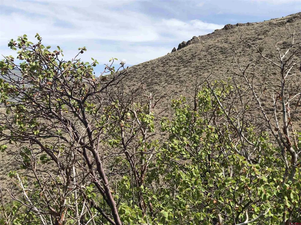 405 Sequoia Drive Gunnison, CO 81230