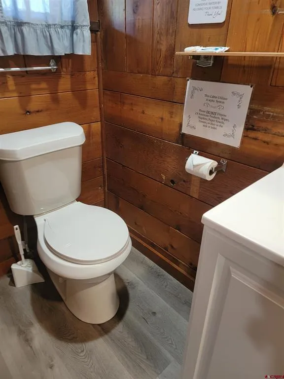 110 Sherry Lane #Cabin #1 Antonito, CO 81120