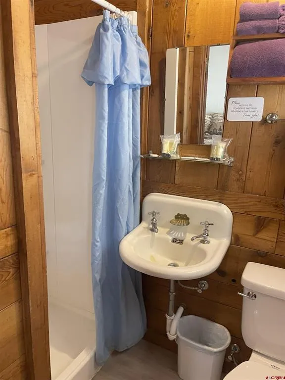 110 Sherry Lane #Cabin #1 Antonito, CO 81120
