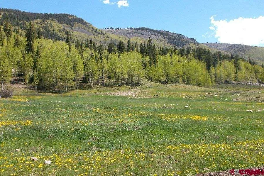 110 Sherry Lane #Cabin #1 Antonito, CO 81120