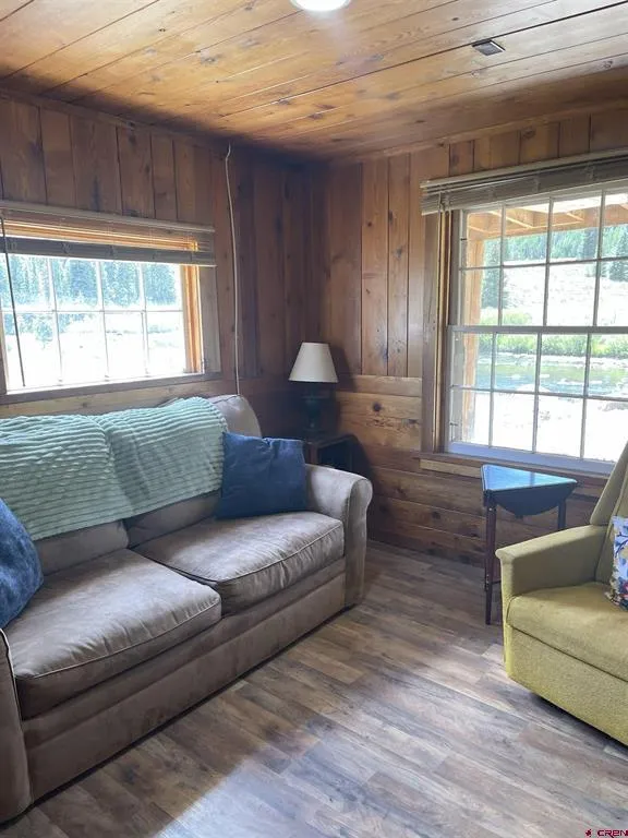 110 Sherry Lane #Cabin #1 Antonito, CO 81120