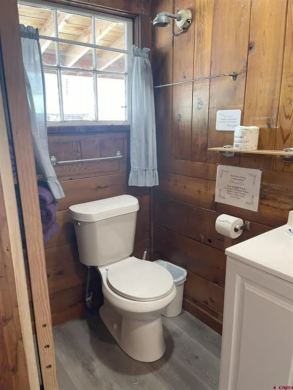 110 Sherry Lane #Cabin #1 Antonito, CO 81120