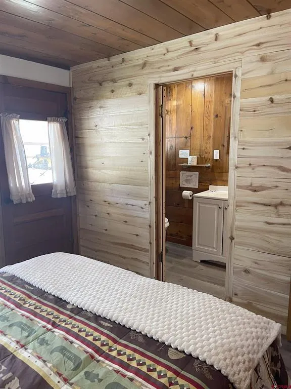 110 Sherry Lane #Cabin #1 Antonito, CO 81120