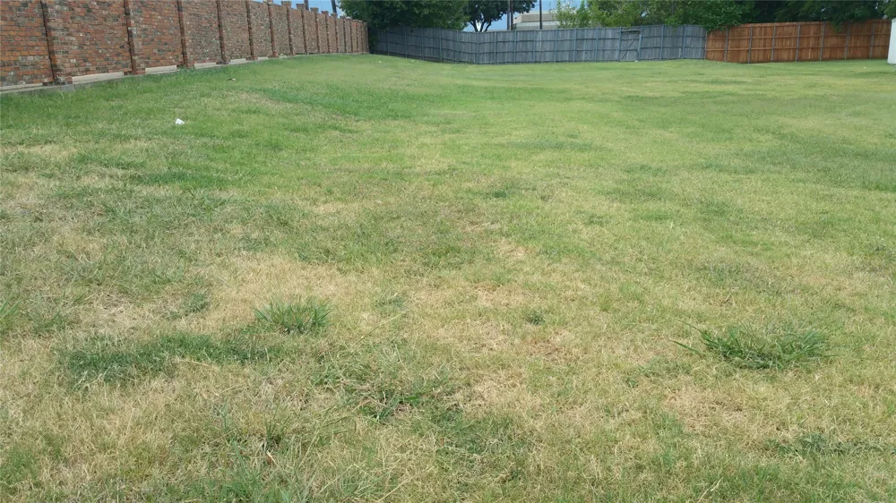 3701 Canon Gate Circle Carrollton, TX 75007