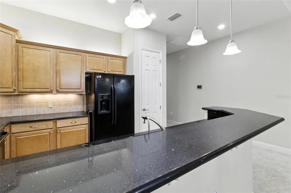 529 MEANDERING WAY Polk City, FL 33868