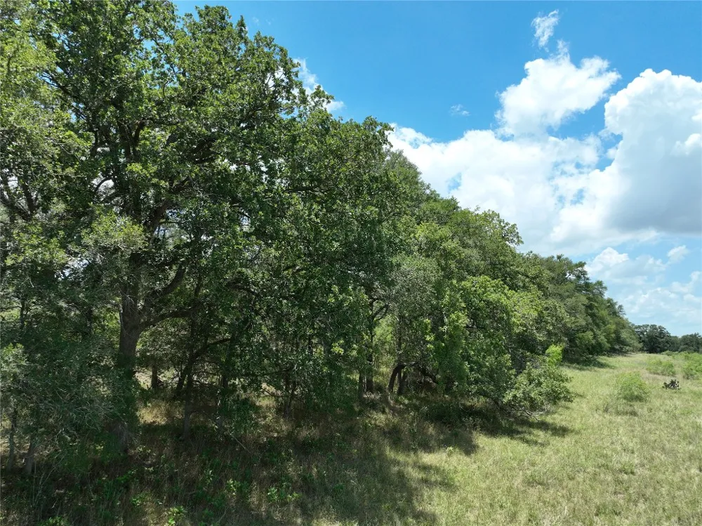 5 Pettytown Road Dale, TX 78616