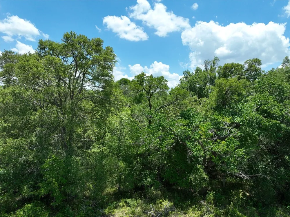 5 Pettytown Road Dale, TX 78616