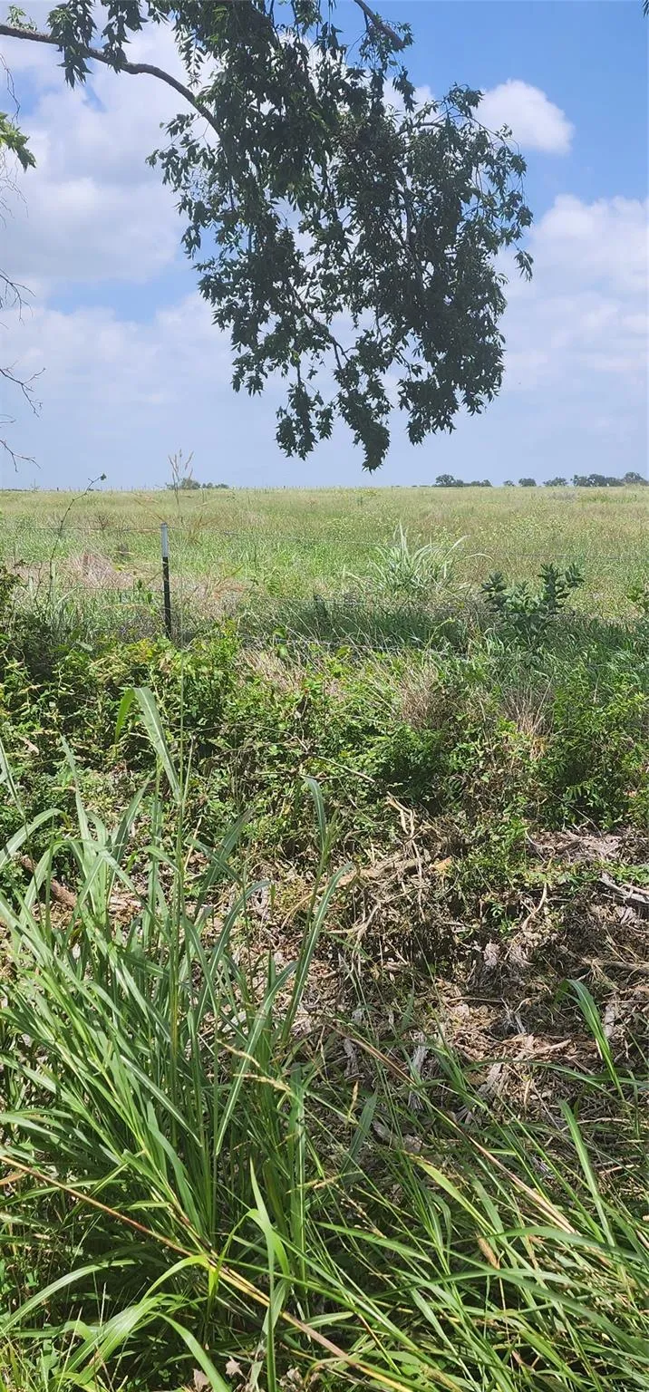 County Road 654 Kosse, TX 76653