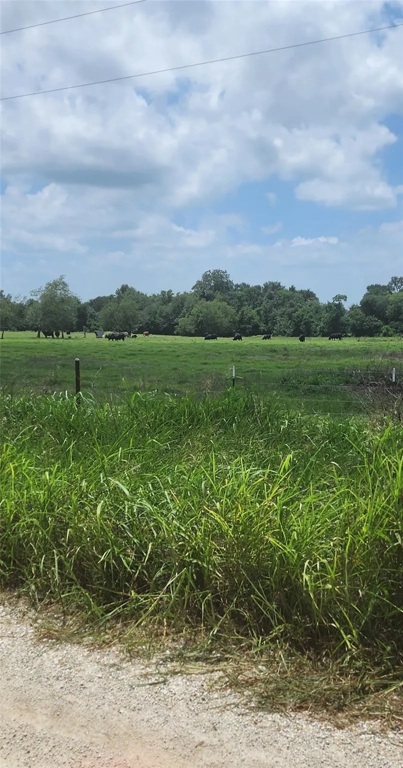 County Road 654 Kosse, TX 76653