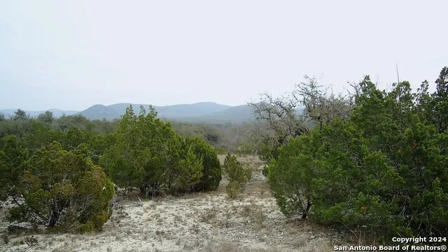 137 MIDDLE ROAD Leakey, TX 78873