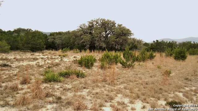 137 MIDDLE ROAD Leakey, TX 78873