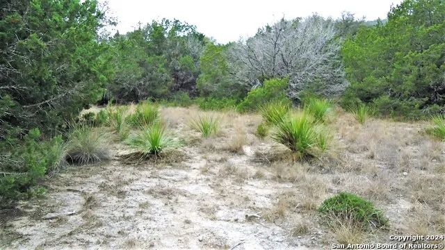 137 MIDDLE ROAD Leakey, TX 78873
