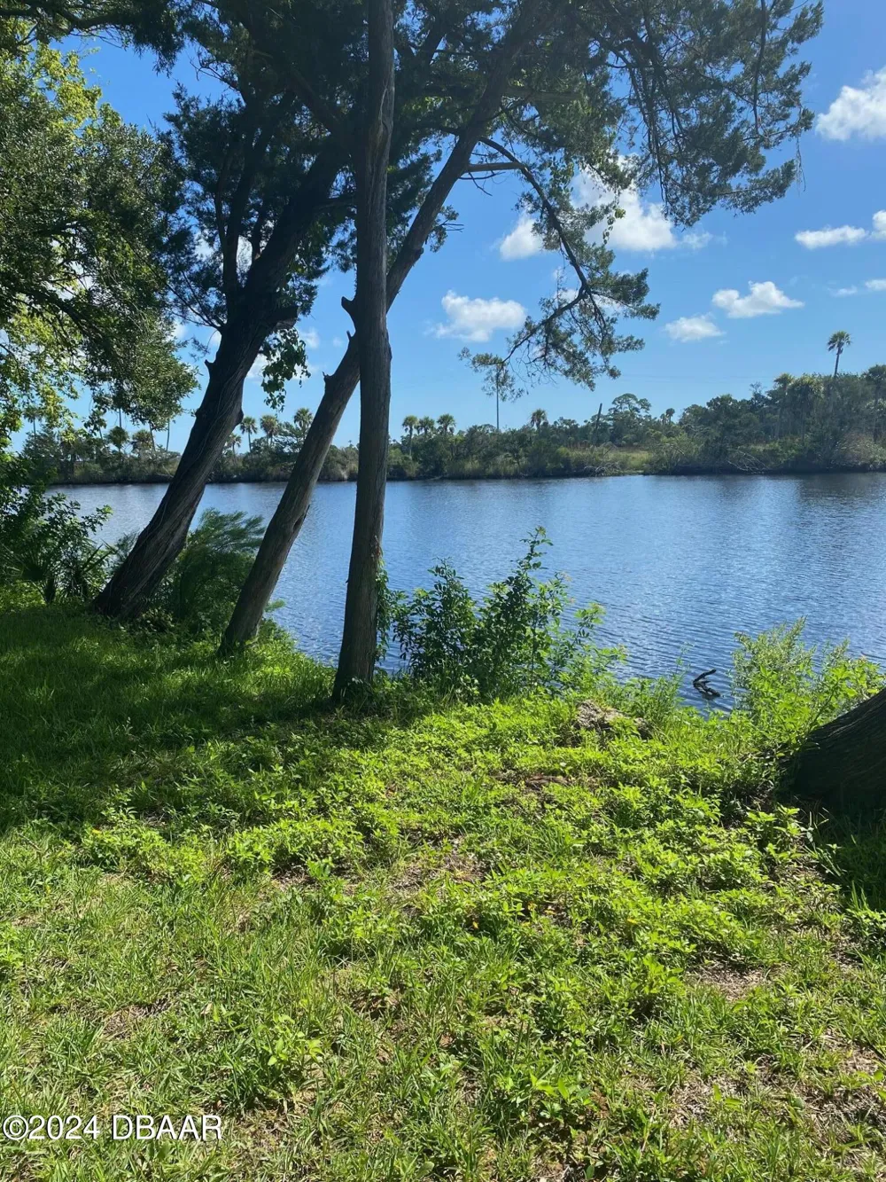 1005 US Highway 1 Ormond Beach, FL 32174