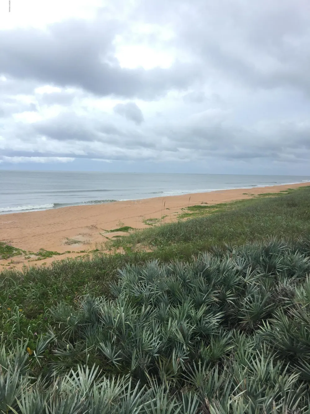 5500 Ocean Shore Boulevard #7 Ormond Beach, FL 32176