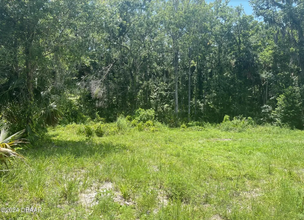 308 Endora Street Ormond Beach, FL 32174