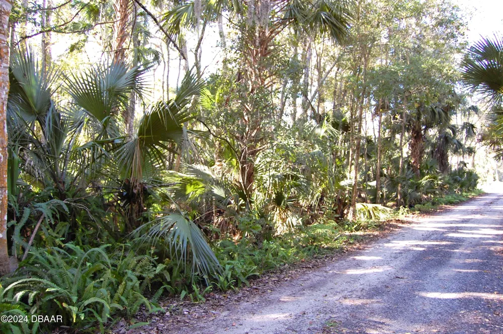 Palm Drive New Smyrna Beach, FL 32168