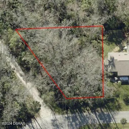 Palm Drive New Smyrna Beach, FL 32168