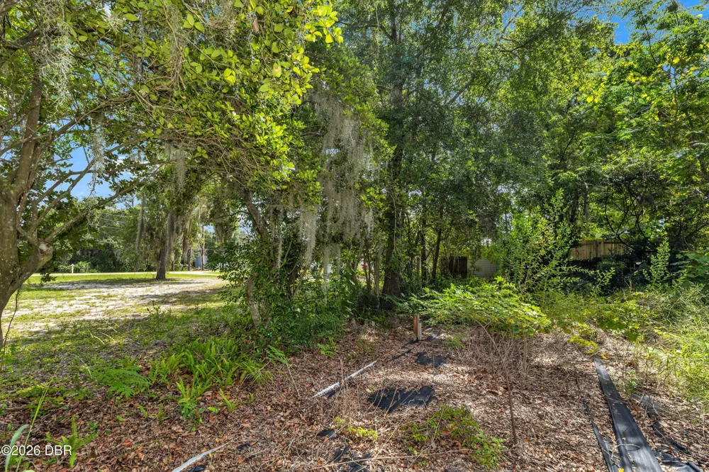 Spring Lake Road Fruitland Park, FL 34731