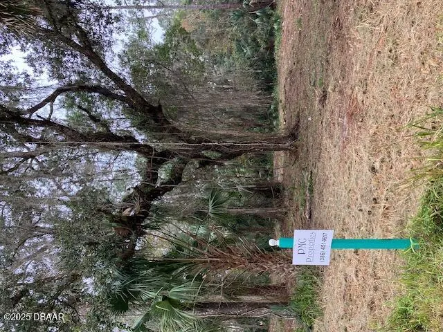 Shell Harbor Road Pierson, FL 32180