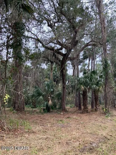 Shell Harbor Road Pierson, FL 32180