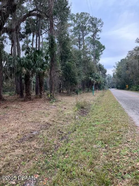 Shell Harbor Road Pierson, FL 32180