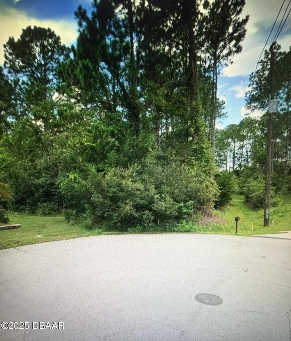 15 Rolling Place Palm Coast, FL 32164