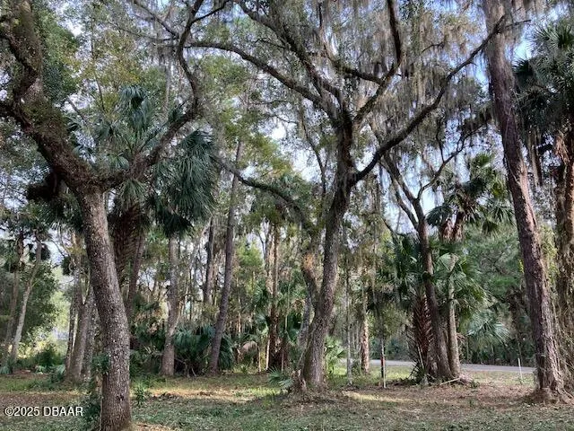1644 Shell Harbor Road Pierson, FL 32180
