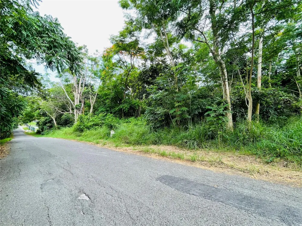 CARR 100 KM 5.2 BO. MIRADERO Cabo Rojo, PR 00623