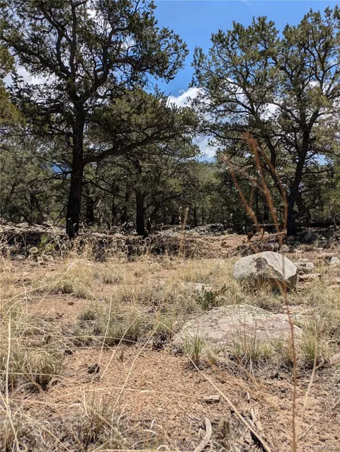 3729 Enchanted Way