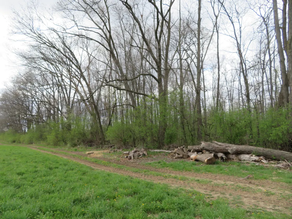 5193 Textile Road Ypsilanti, MI 48197