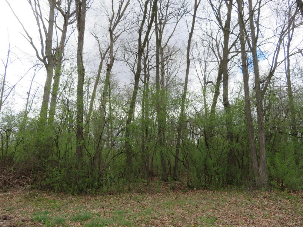 5193 Textile Road Ypsilanti, MI 48197