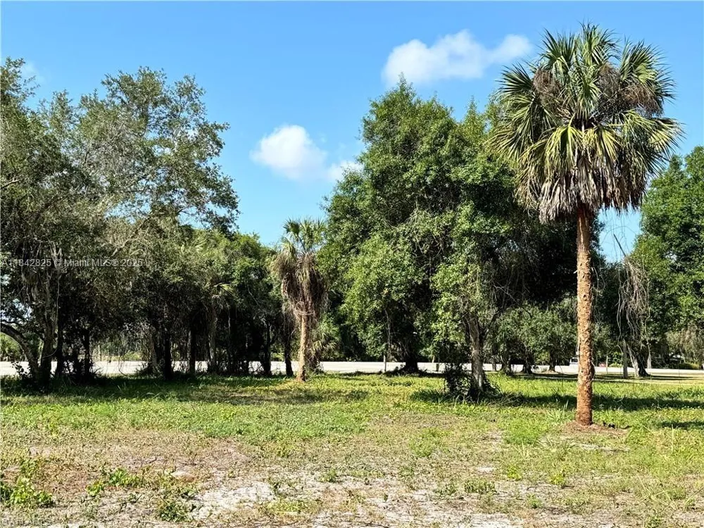 Magnolia Ave La Belle, FL 33935