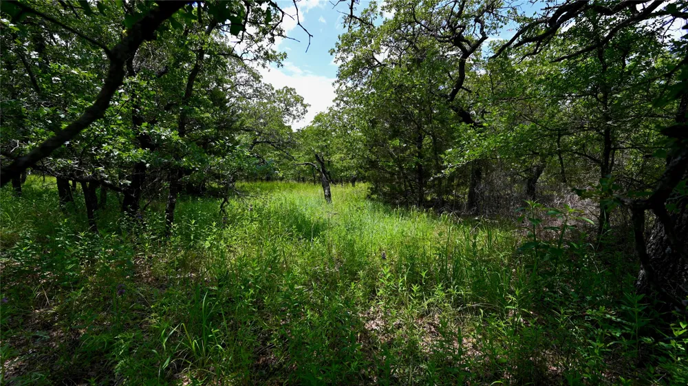169 Post Oak Cove Sunset, TX 76270