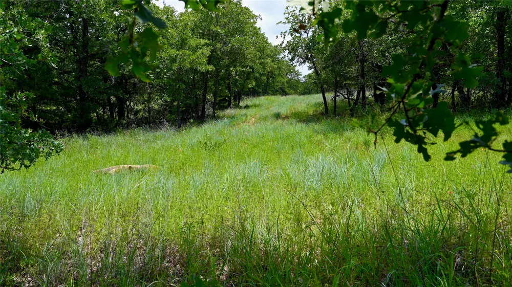 169 Post Oak Cove Sunset, TX 76270