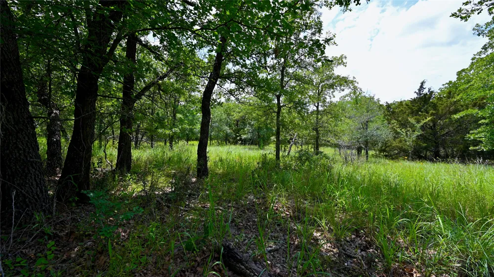 169 Post Oak Cove Sunset, TX 76270