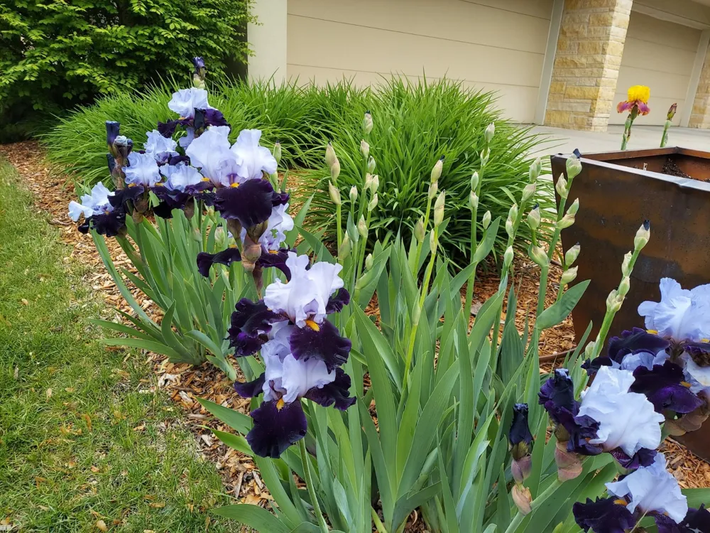 685 Hidden Creek Trail Mendota Heights, MN 55118