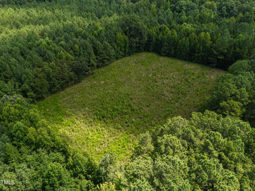 1096 Kadir Womble Drive New Hill, NC 27562