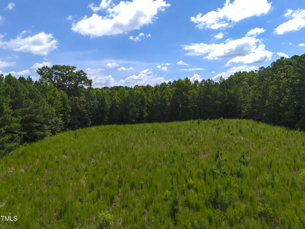 1096 Kadir Womble Drive New Hill, NC 27562