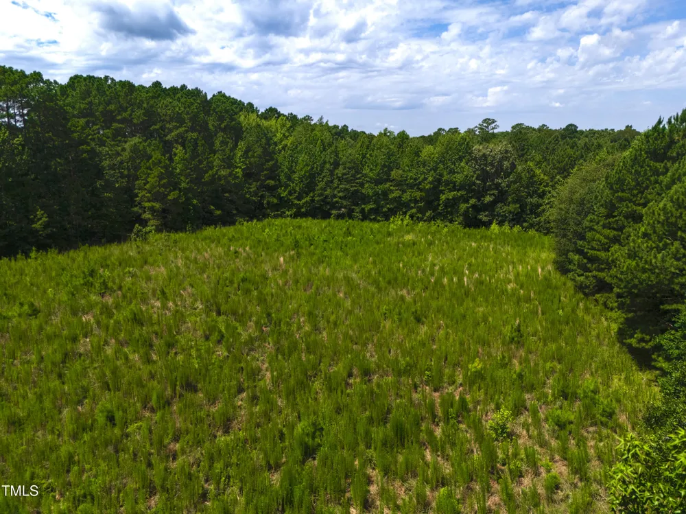 1096 Kadir Womble Drive New Hill, NC 27562