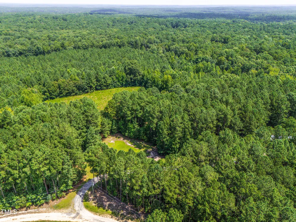 1096 Kadir Womble Drive New Hill, NC 27562