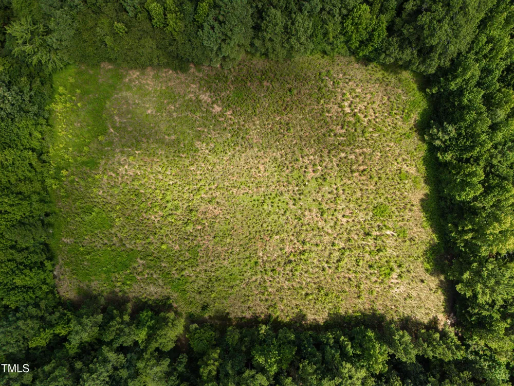 1096 Kadir Womble Drive New Hill, NC 27562