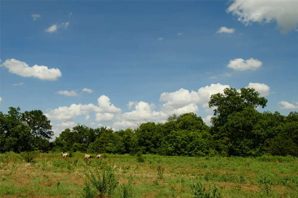 FM 901 Sadler, TX 76264