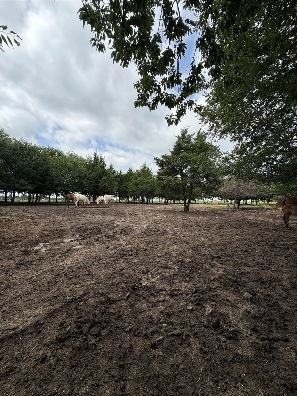 Palmyra Road Palmer, TX 75152